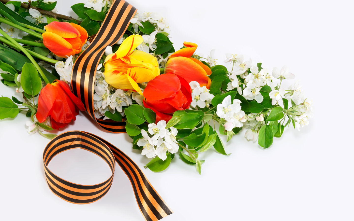Flowers and St. George ribbon on May 9th on a white background
