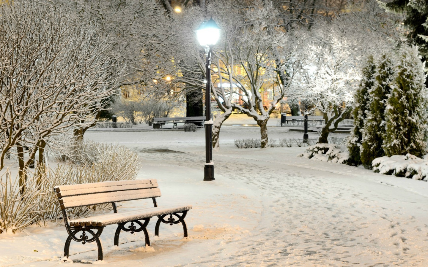 Snow-covered bench in winter park