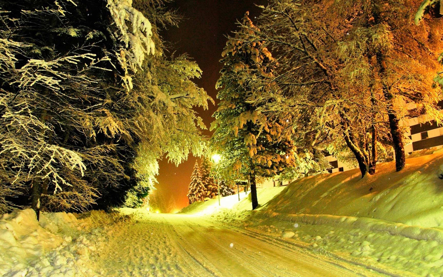 Деревья у заснеженной зимней дороги  