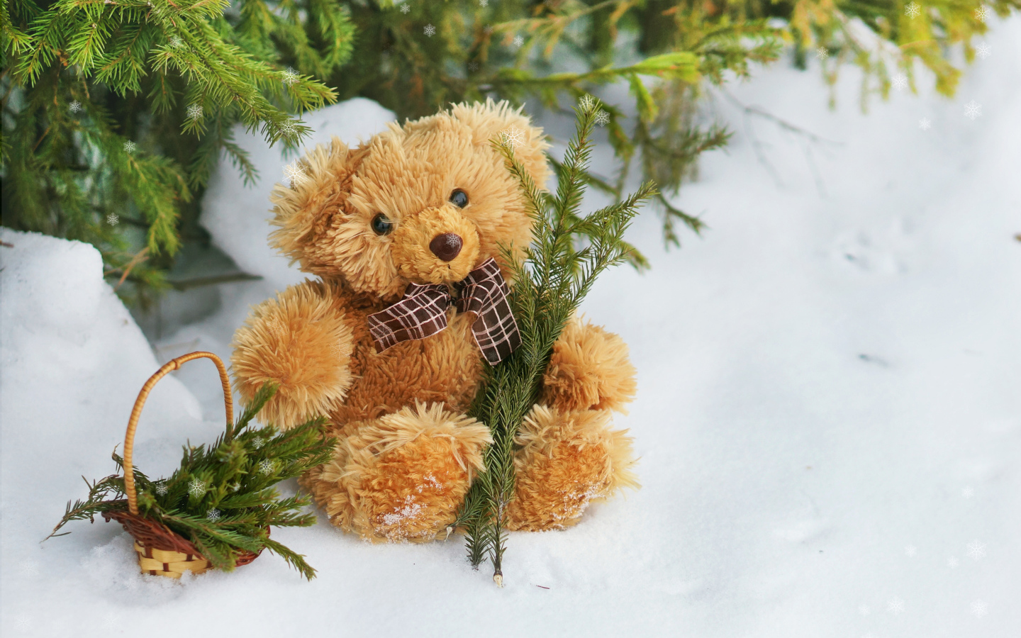 Teddy bear cub in the snow with spruce branches