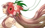 Аниме - Девушка с вплетенными цветами