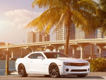 Автомобили - Chevrolet - Chevrolet Camaro - Chevrolet Camaro под пальмой