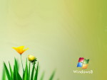 Компьютеры - Windows 8 - Windows 8 алоэ