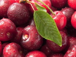 Еда - Ягоды, фрукты, орехи - Вишня