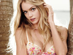 Девушки - Модели - Модели на L - Линдсей Эллингсон (Lindsay Ellingson)