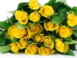Природа - Цветы - Желтые розы