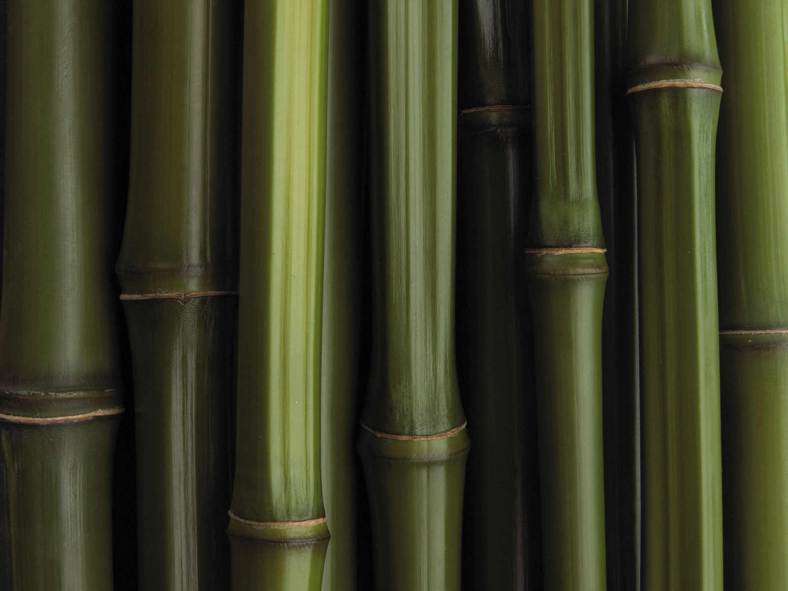 Previous, Creative Wallpaper - Bamboo texture wallpaper