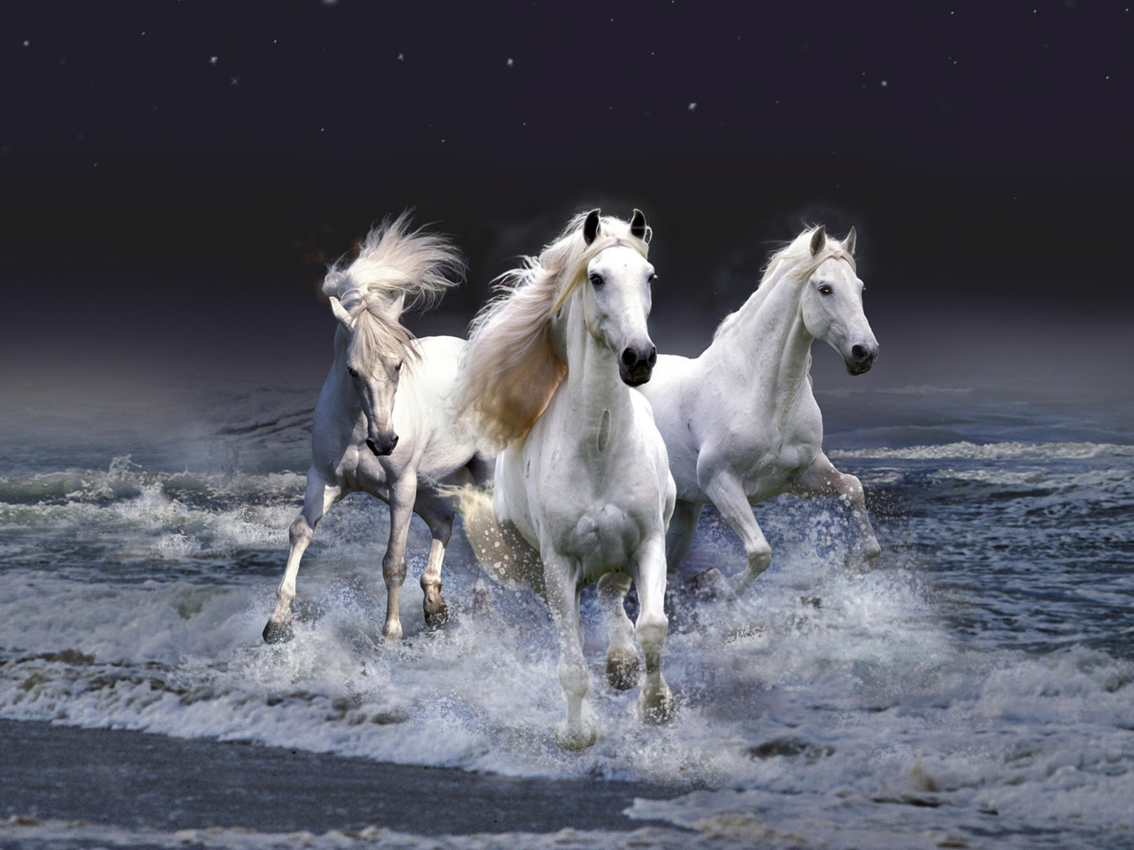 Тройка белых коней
