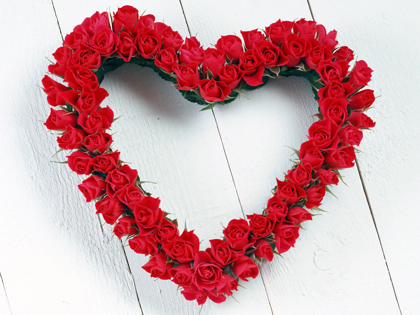 Beautiful Red Roses St Valentines Day Wallpapers And Images