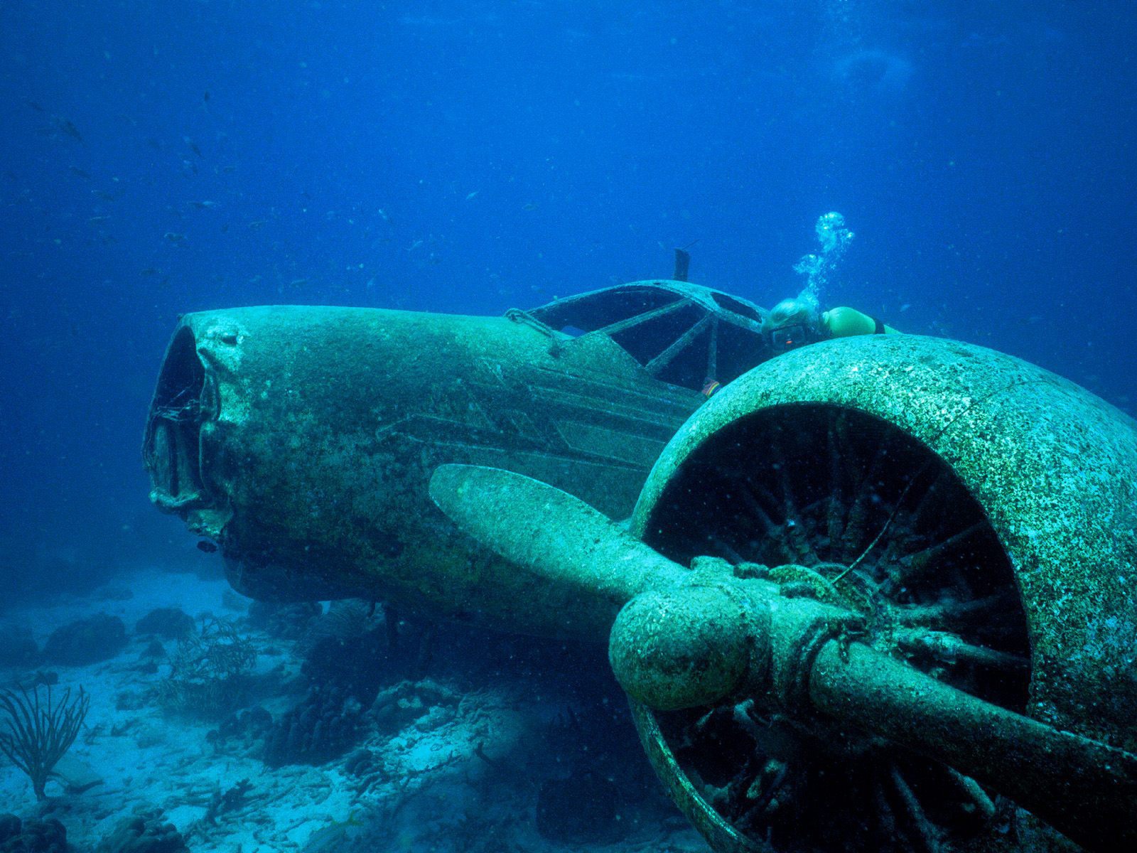 	   The plane on the bottom of the sea