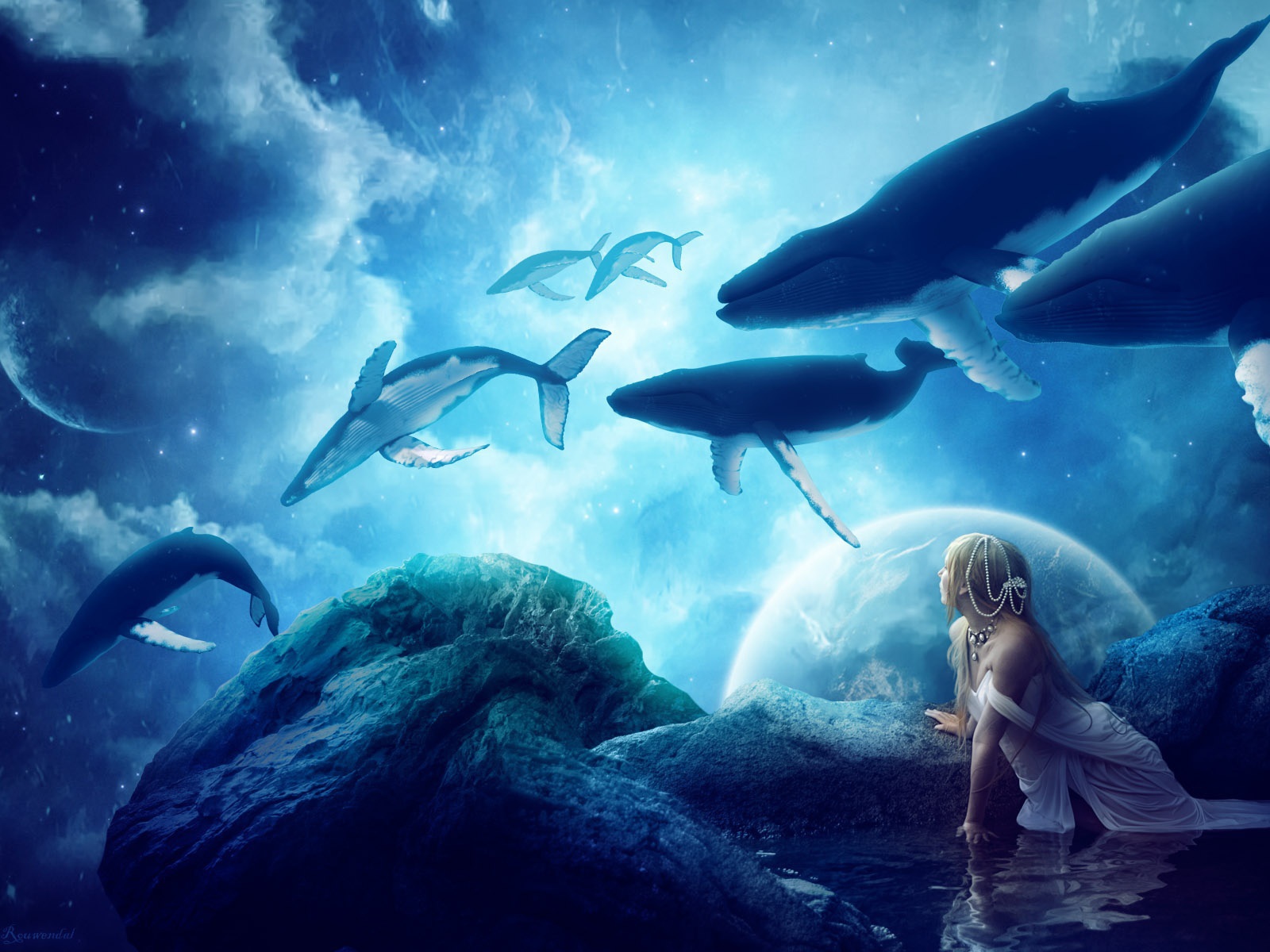 Мечты китов 