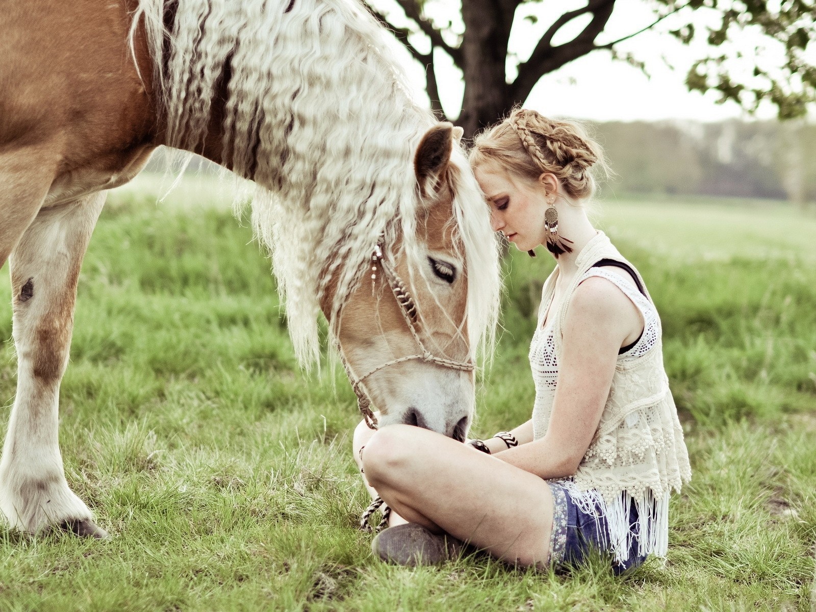 Лошадь прислонилась к девушке