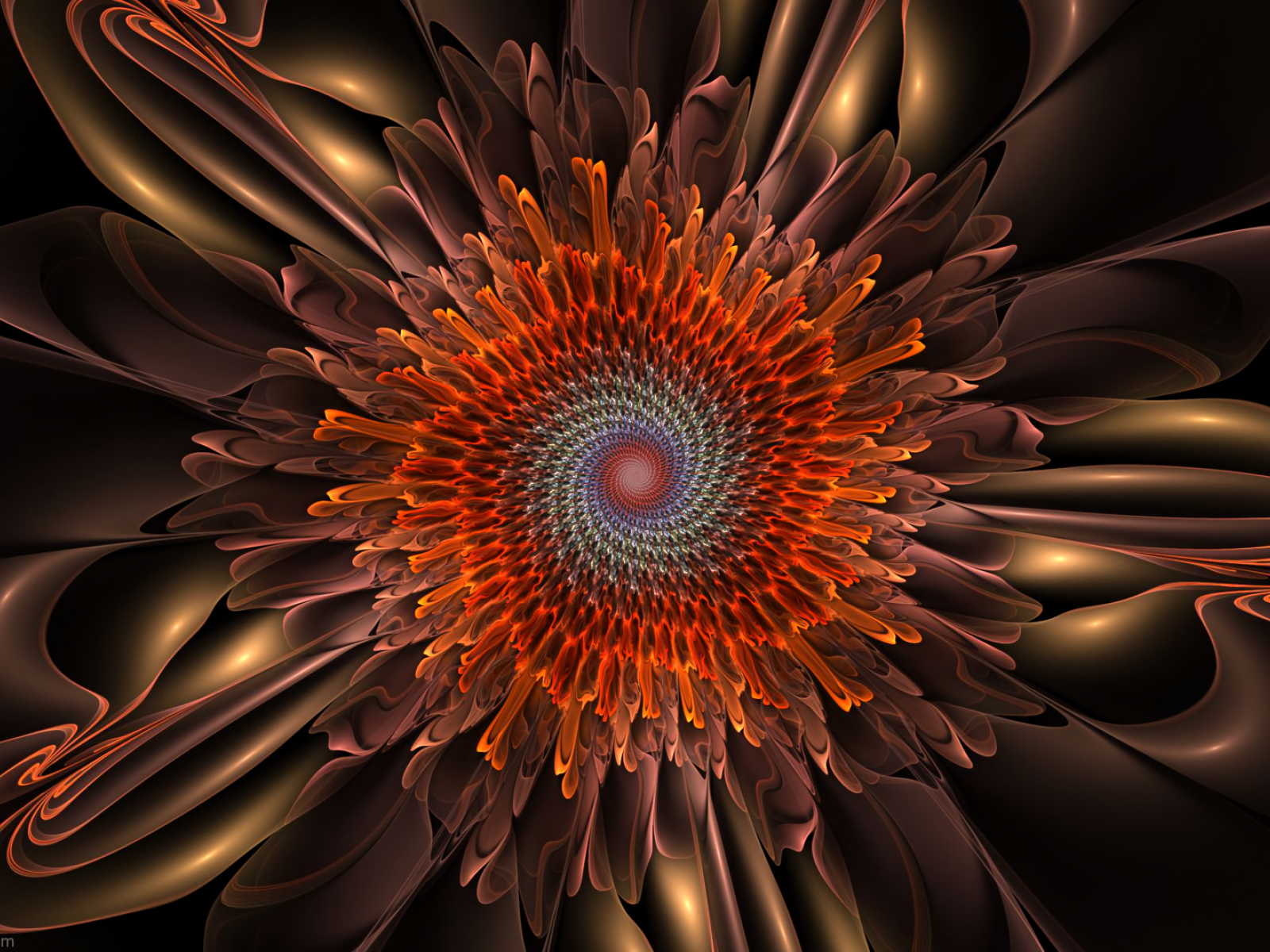 Спиральный цветок 3д рисунок 