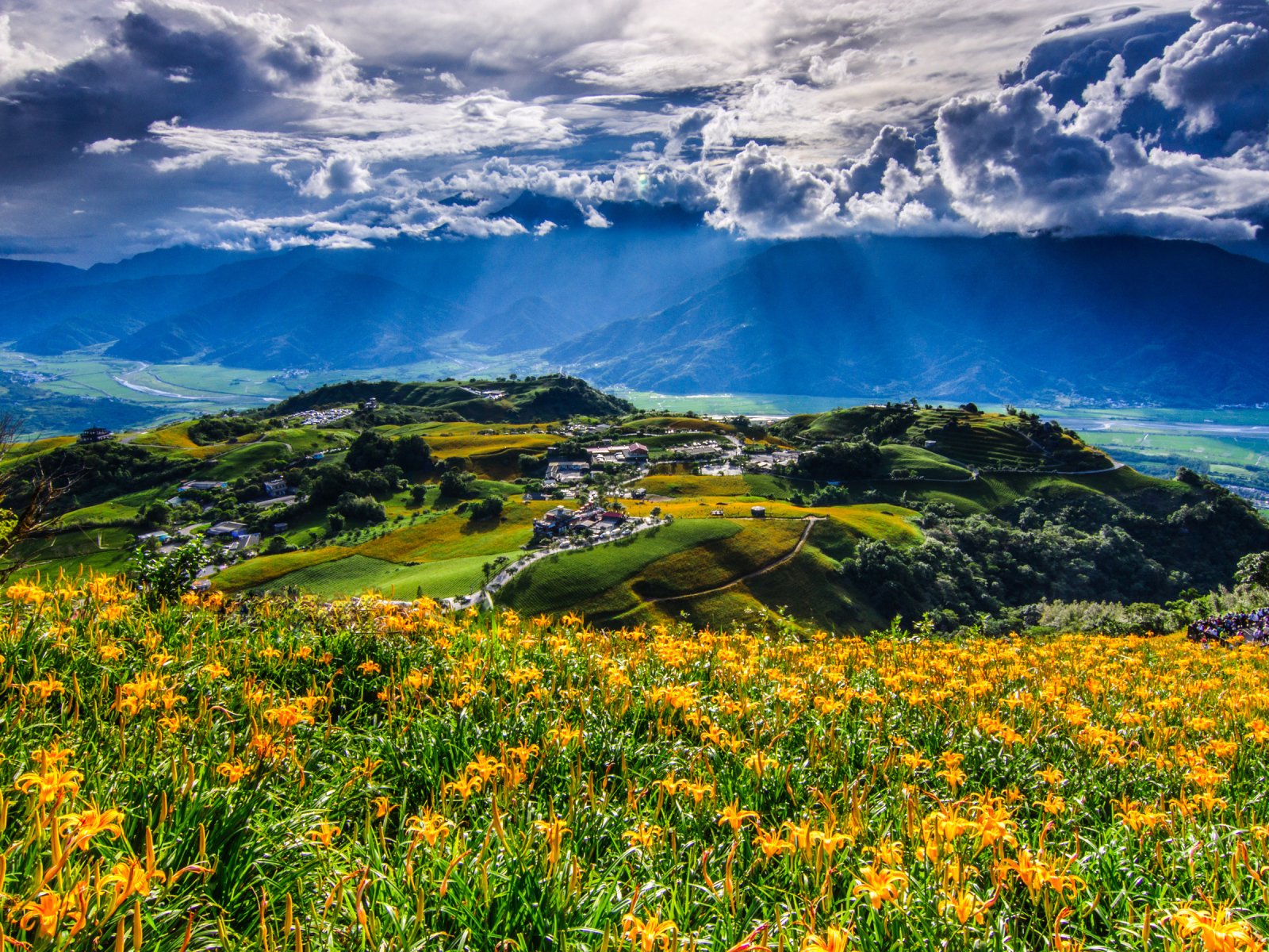 The rays of the sun make their way through white clouds over blooming hills. Taiwan.