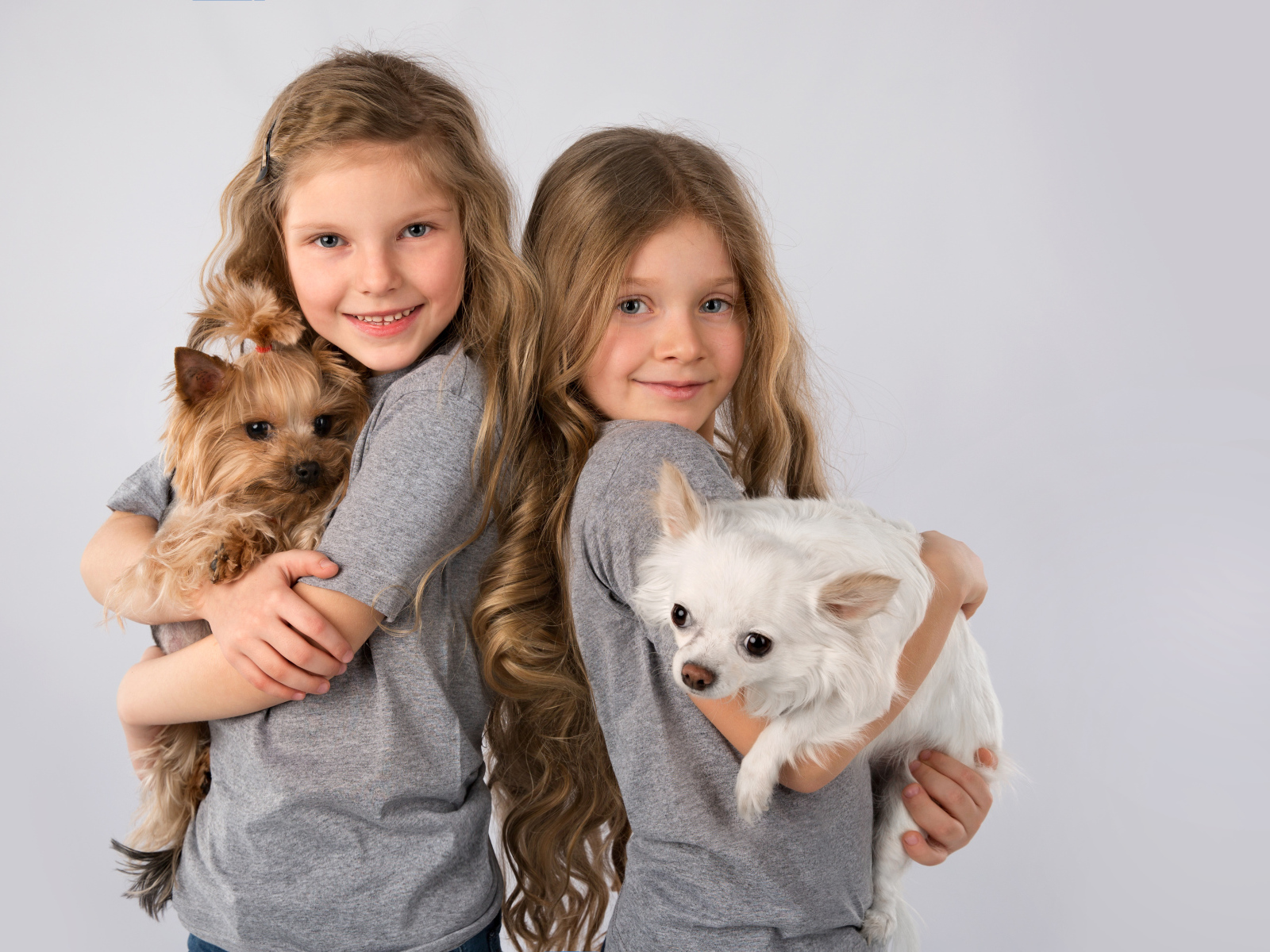 Две маленькие девочки с собачками на руках на сером фоне