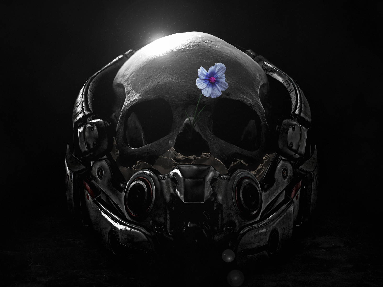 Skull in a helmet with a blue flower, a computer game Mass Effect. Andromeda