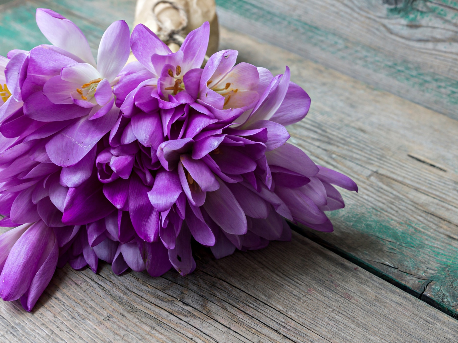 Букет весенних цветов фиолетовых крокусов лежит на деревянном столе