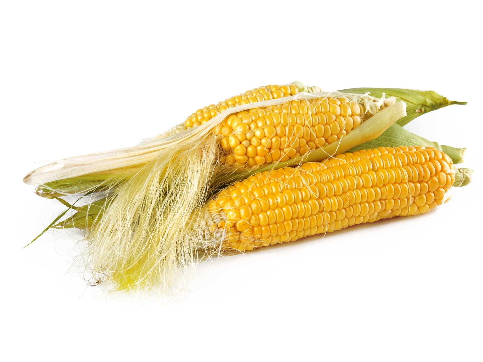Желтые початки кукурузы на белом фоне