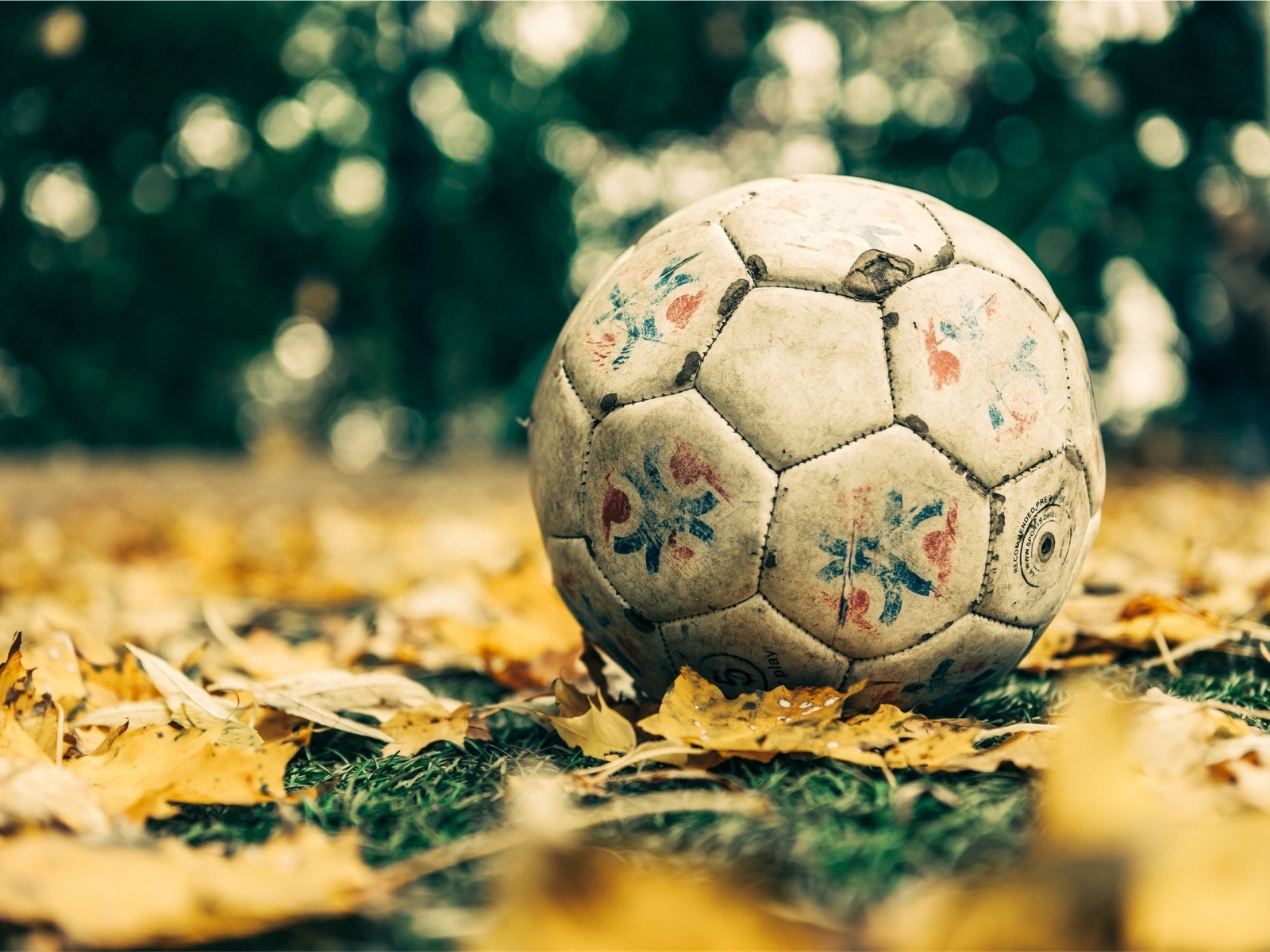 Старый футбольный мяч на листве 