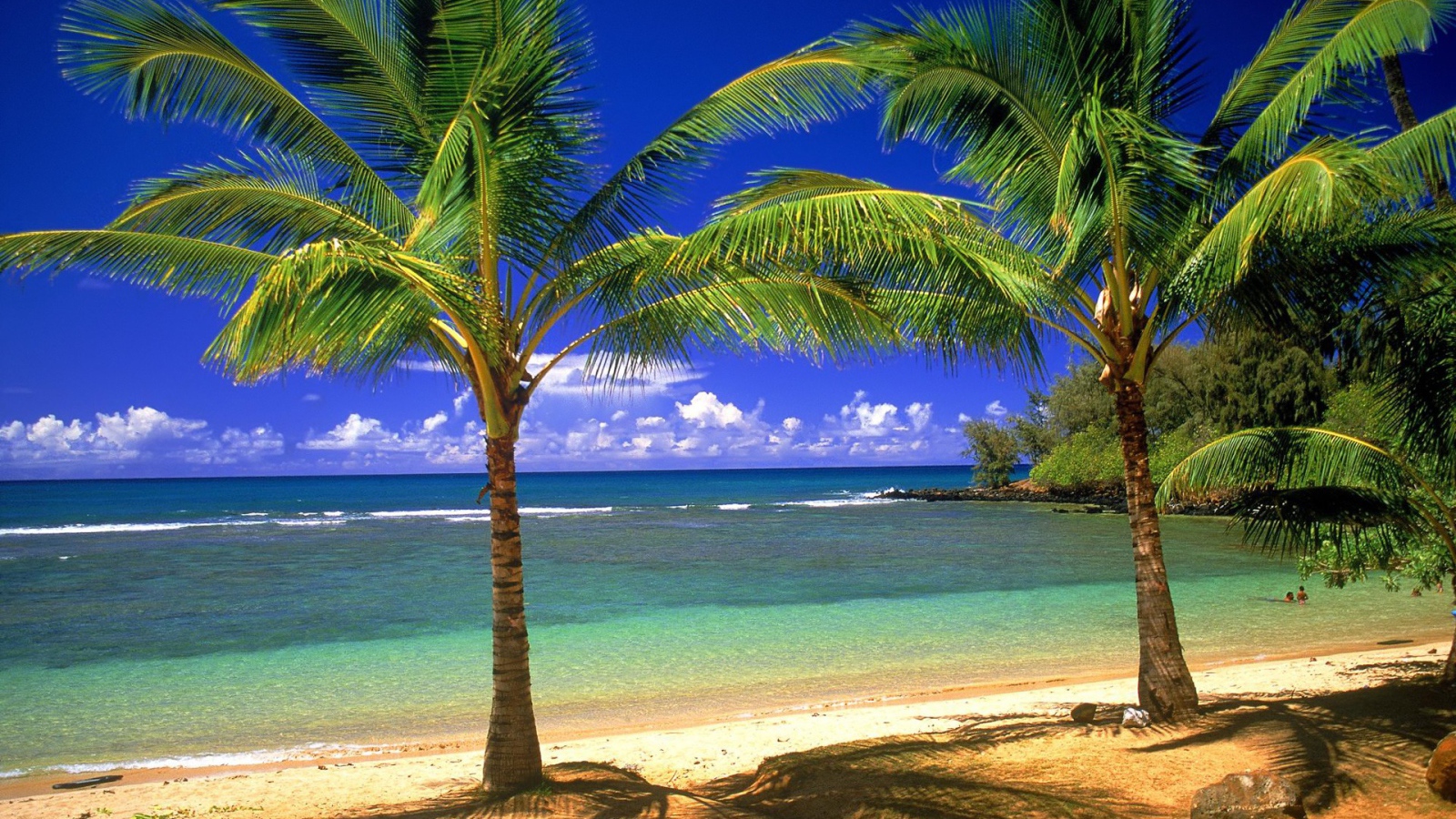 Пальмы, остров, пляж