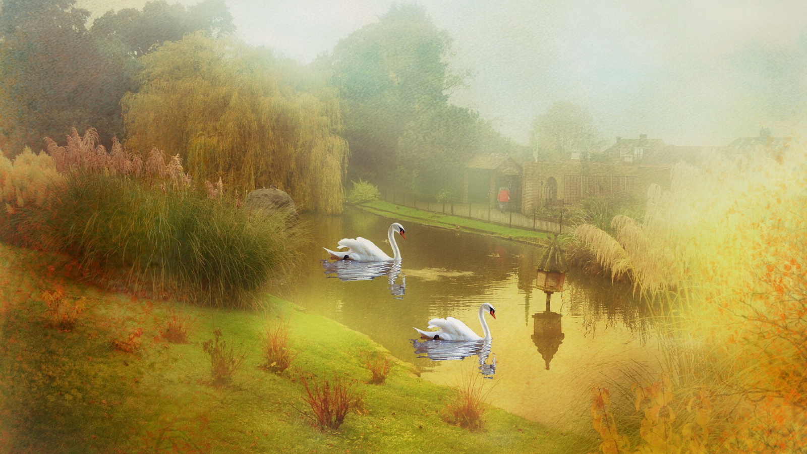 	   Pond with swans