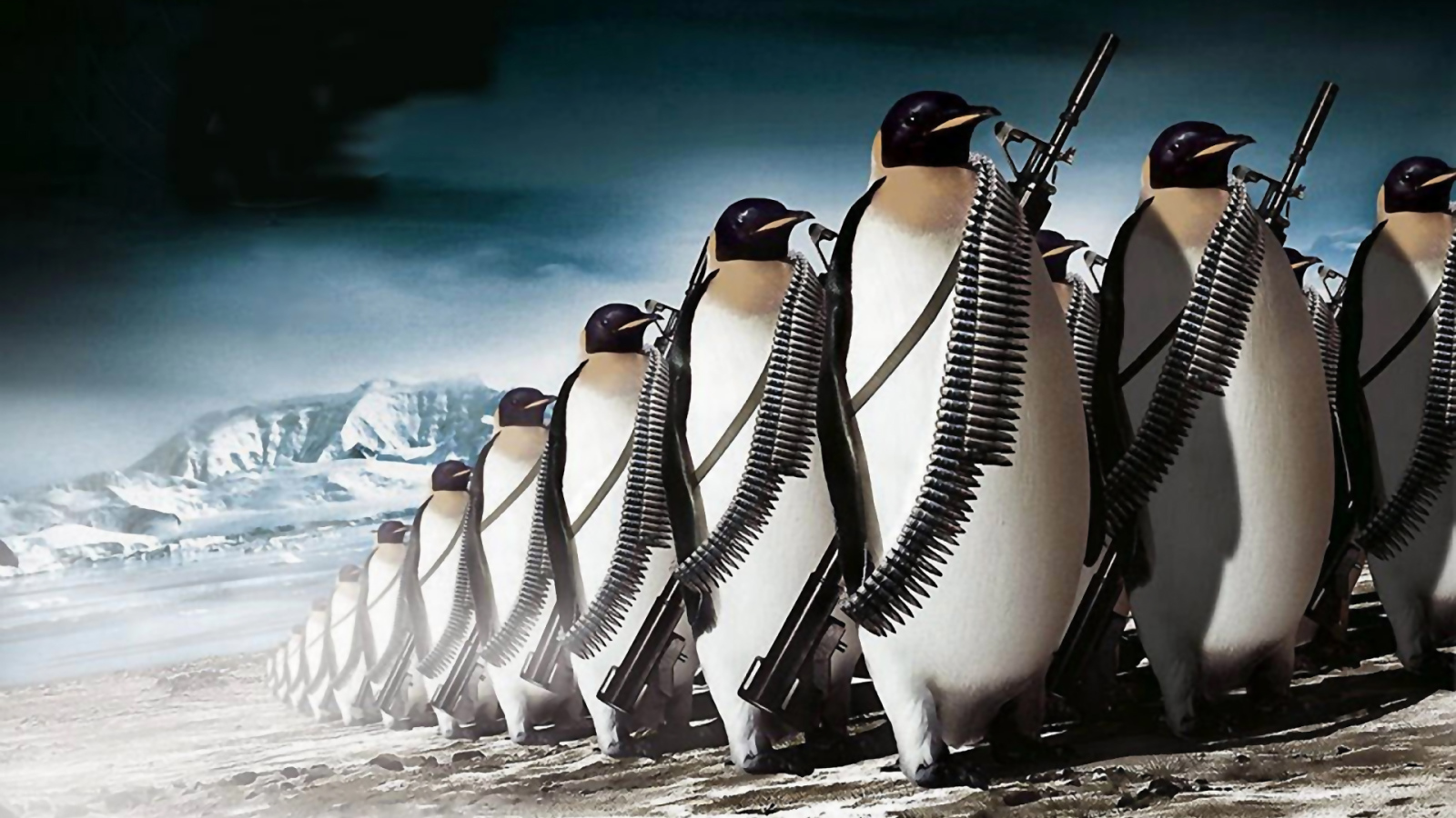 	   Army of penguins