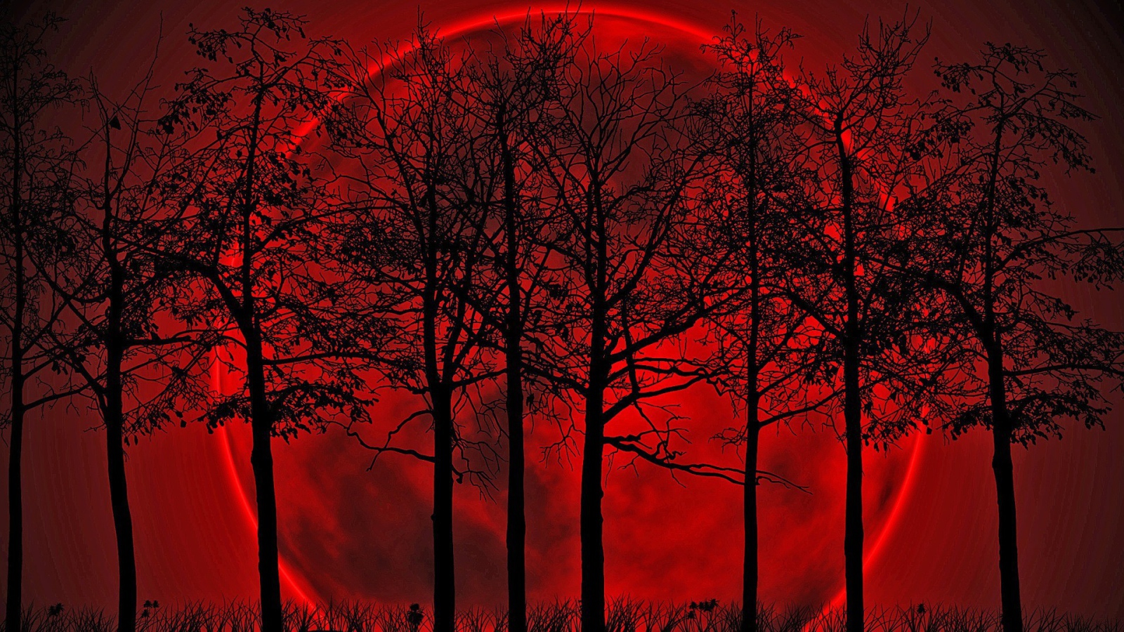 Деревья на фоне кровавой луны