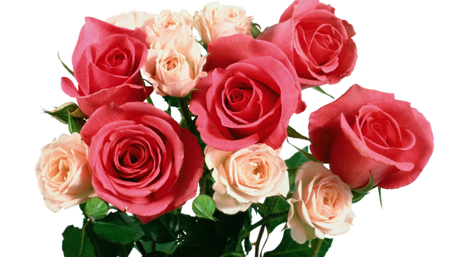 A bouquet of red and beige roses on March 8