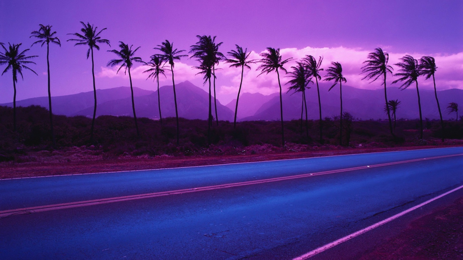 Пальмы на фоне фиолетовых гор и облаков