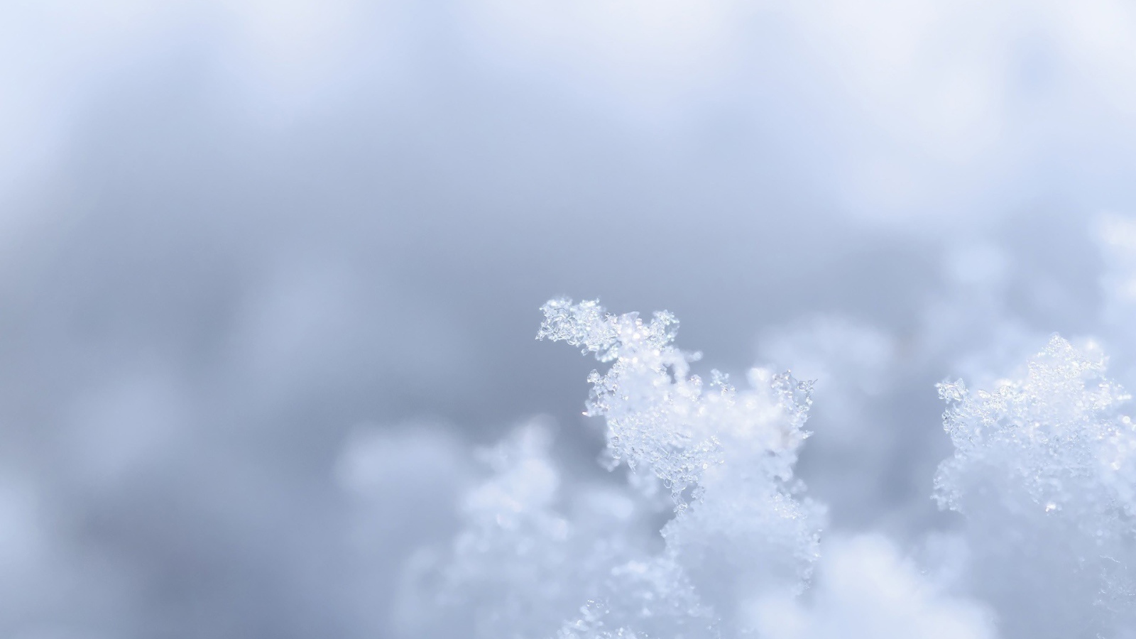Кристаллы из снега на сером фоне