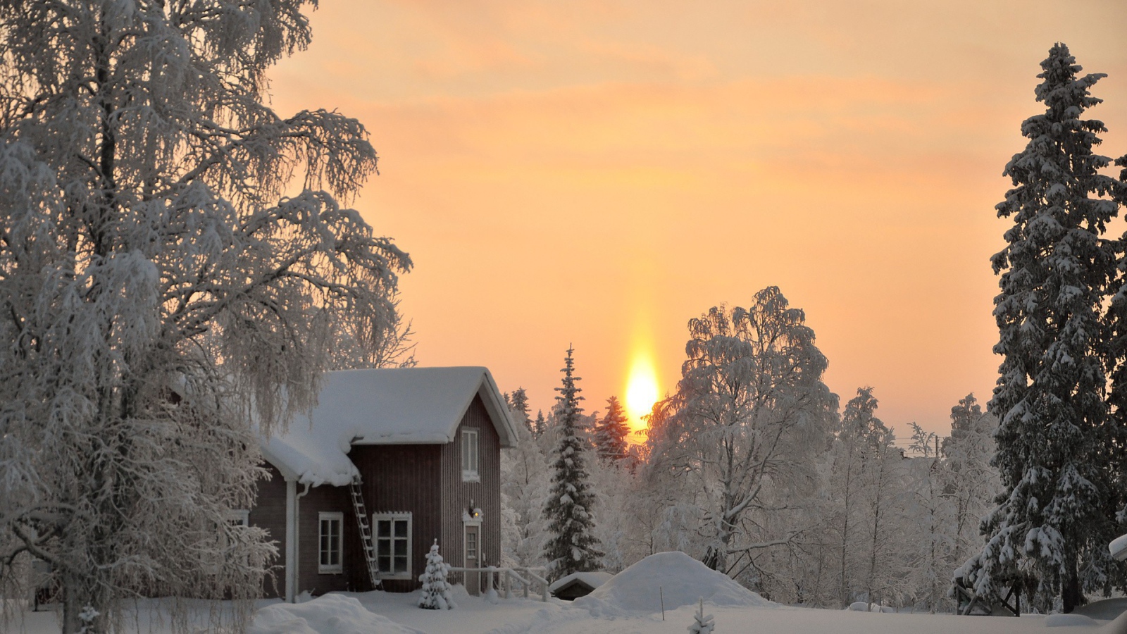 Деревянный дом в зимнем лесу на закате