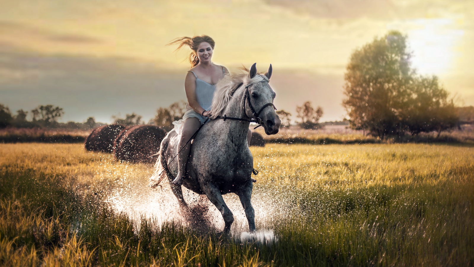 Красивая молодая девушка скачет на лошади по мокрой траве