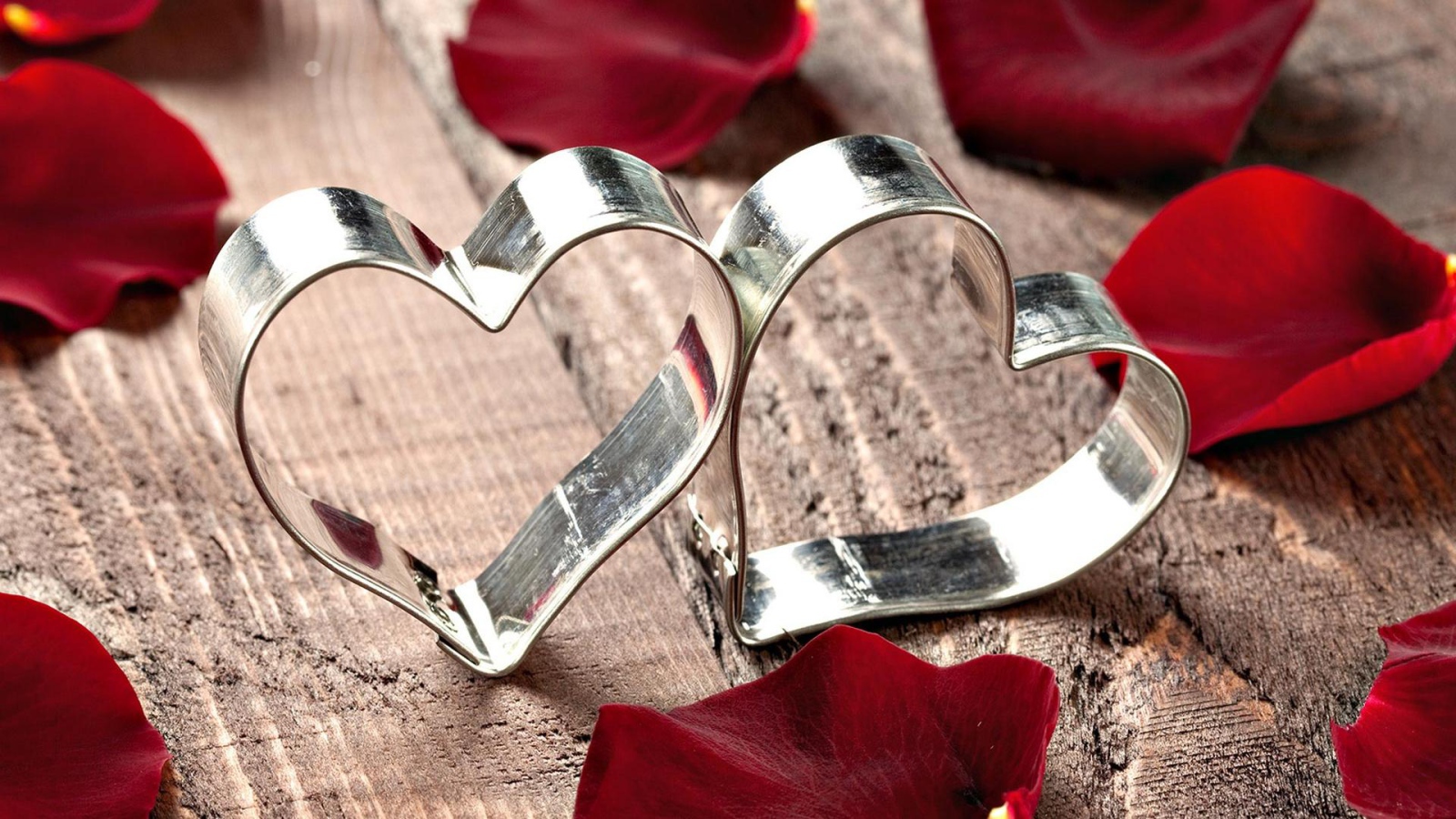 Two silver hearts in red rose petals