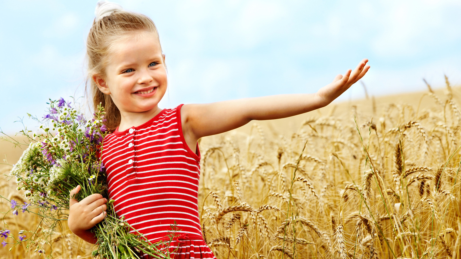 A little girl with a bouquet of wild flowers walks around the wheat field
