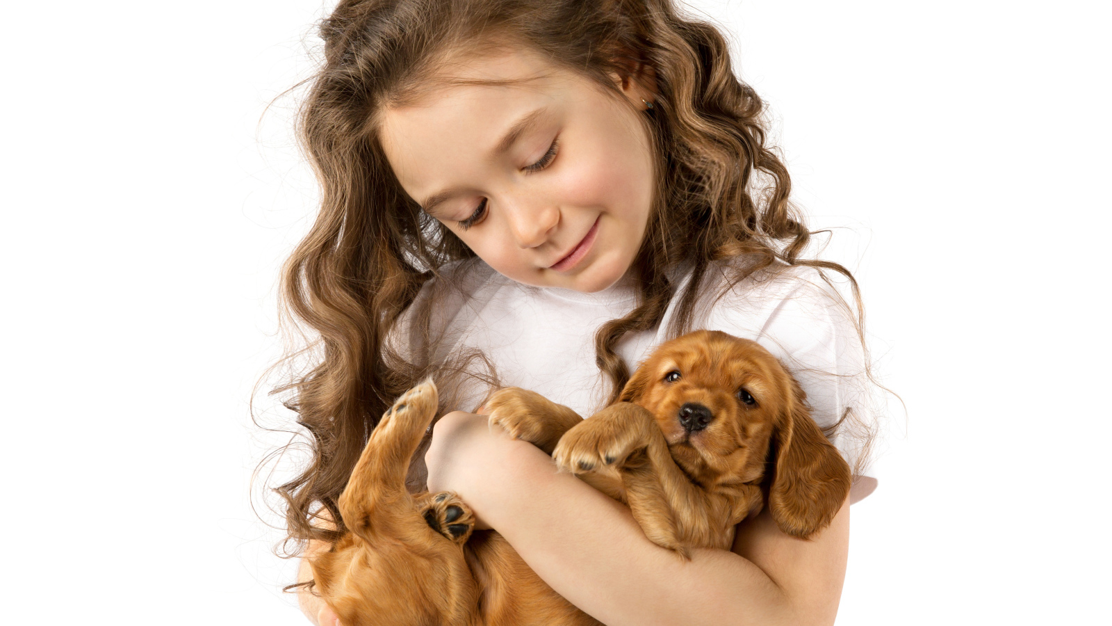 Маленькая девочка шатенка с маленьким щенком в руках на белом фоне