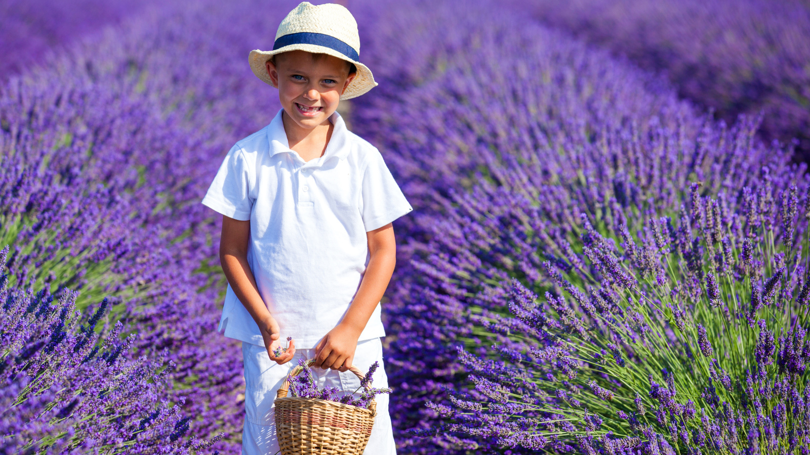 Улыбающийся мальчик на поле фиолетовой лаванды