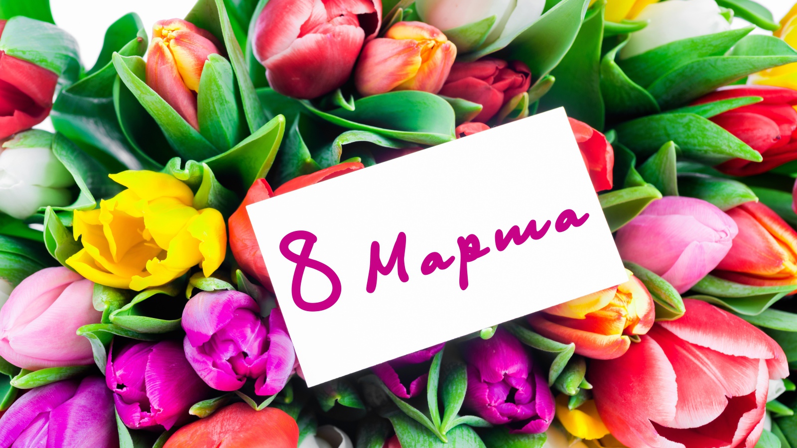 Красивый букет разноцветных тюльпанов на Международный Женский день 8 марта