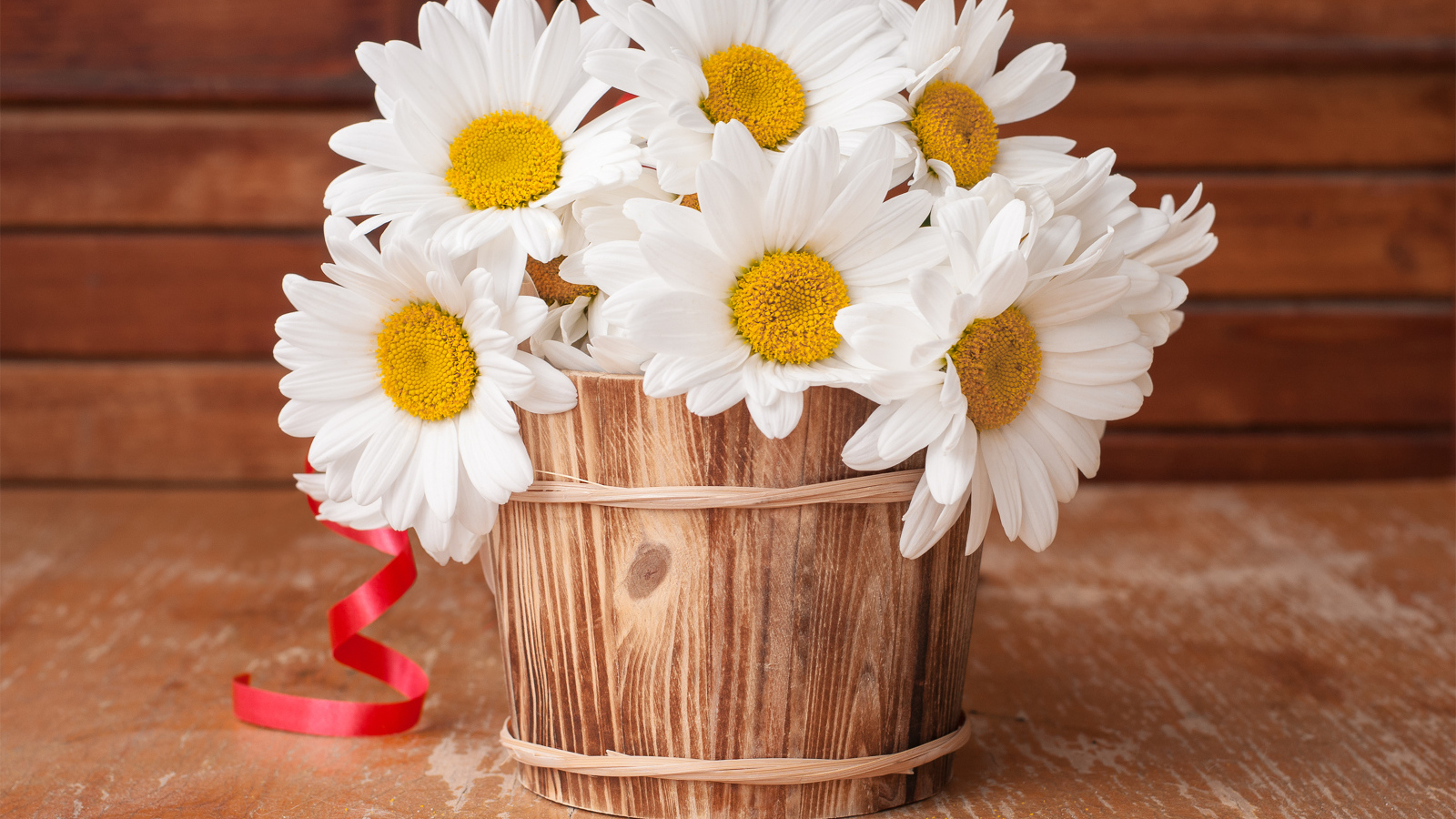 A bouquet of large white daisies in a wooden vase