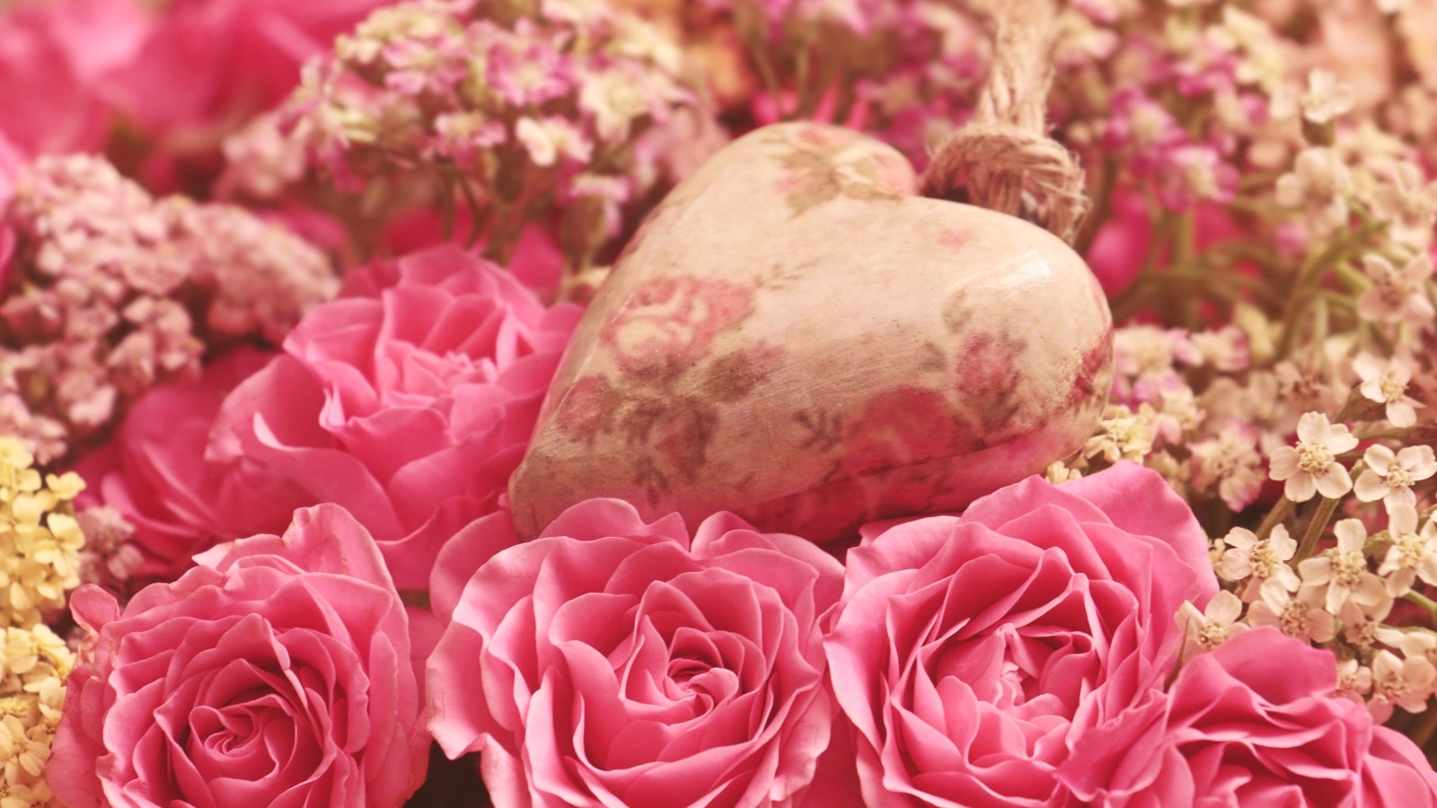 Сердце лежит на цветах розовой розы