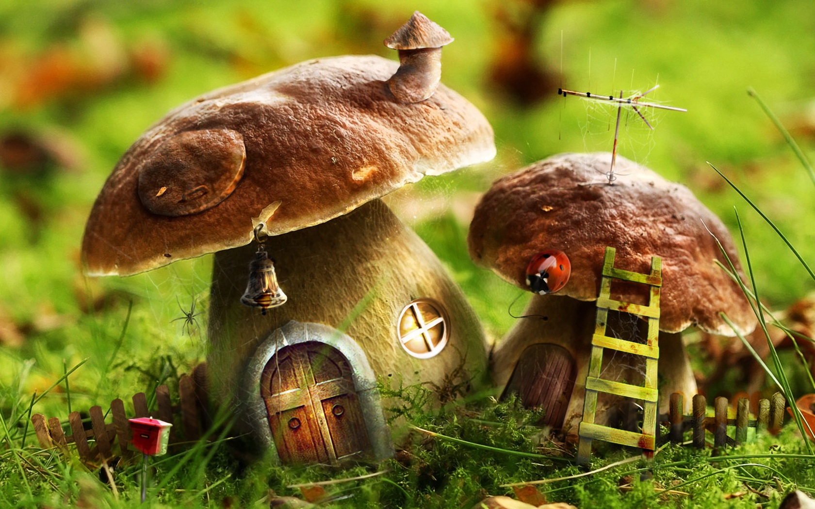 Mushroom houses wallpapers and images wallpapers, pictures, photos