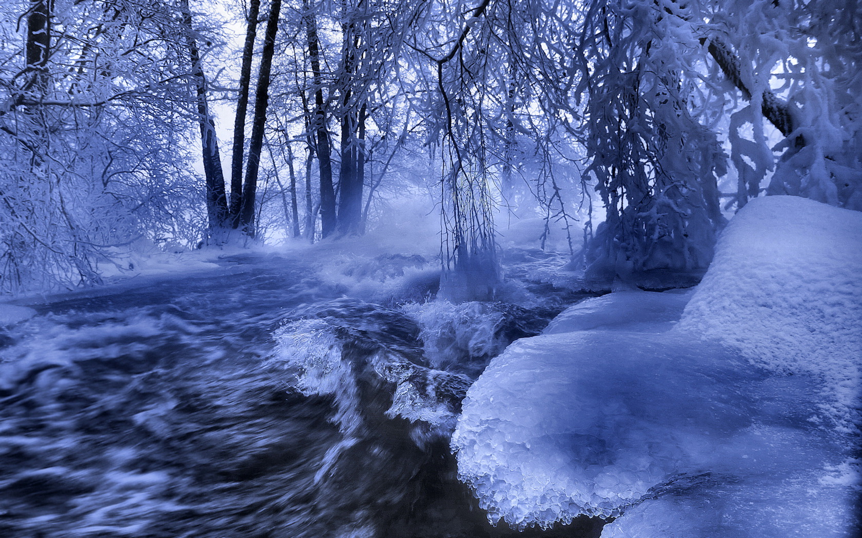 Previous, Archive - Winter wallpapers - Forest River wallpaper