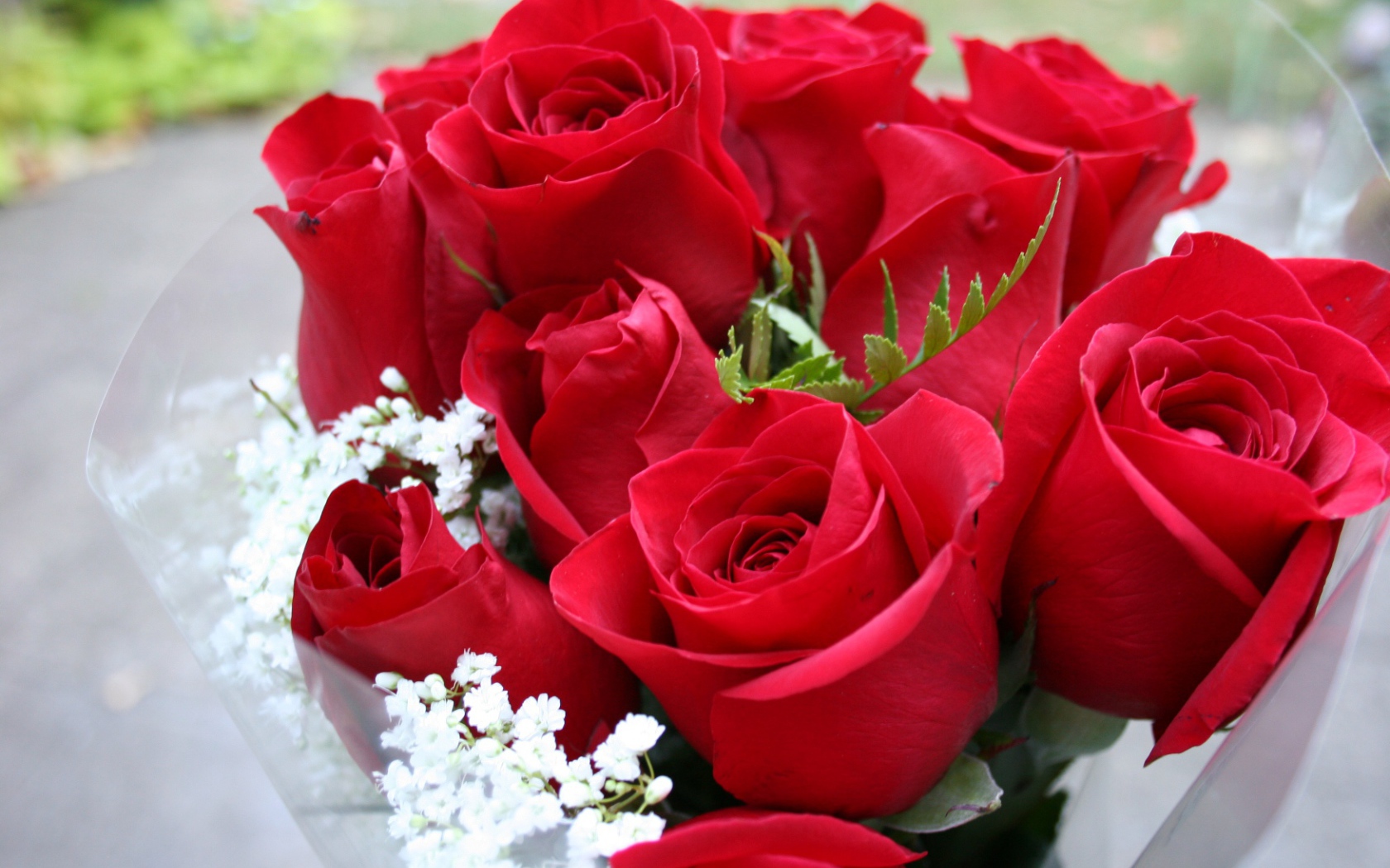 Прекрасный букет красных роз на 8 марта