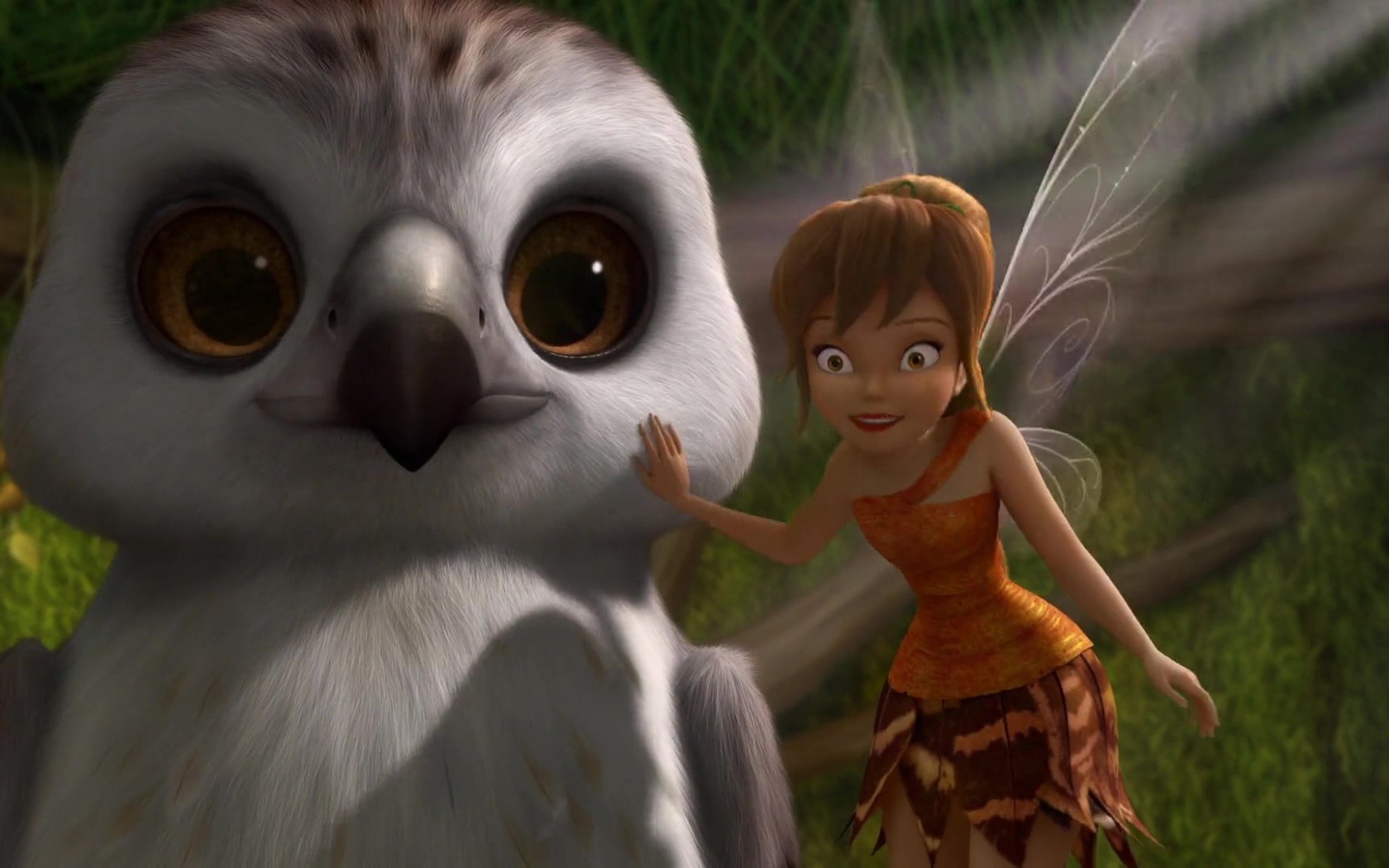 Fairy girl with owl