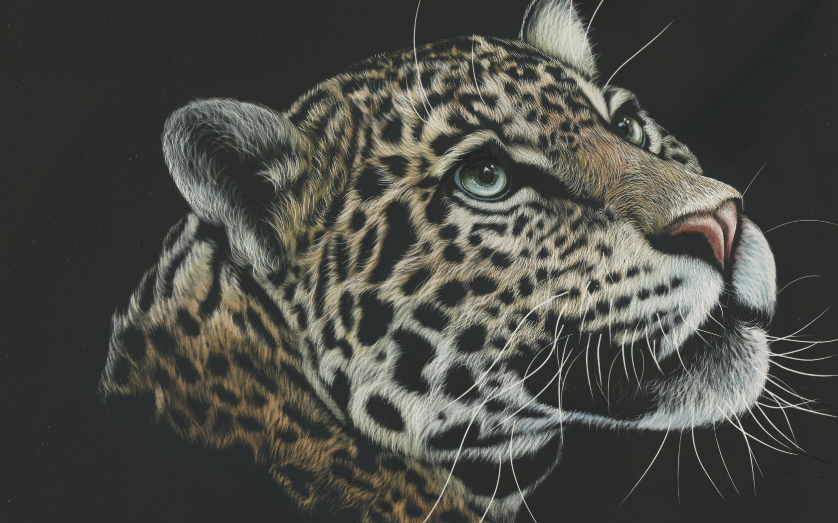 Нарисованная морда леопарда