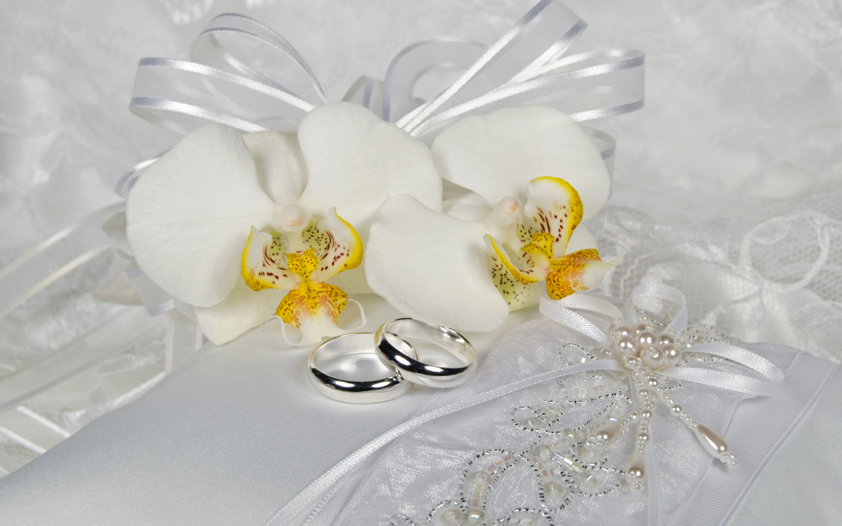 Два обручальных кольца с нежными белыми цветами орхидеи