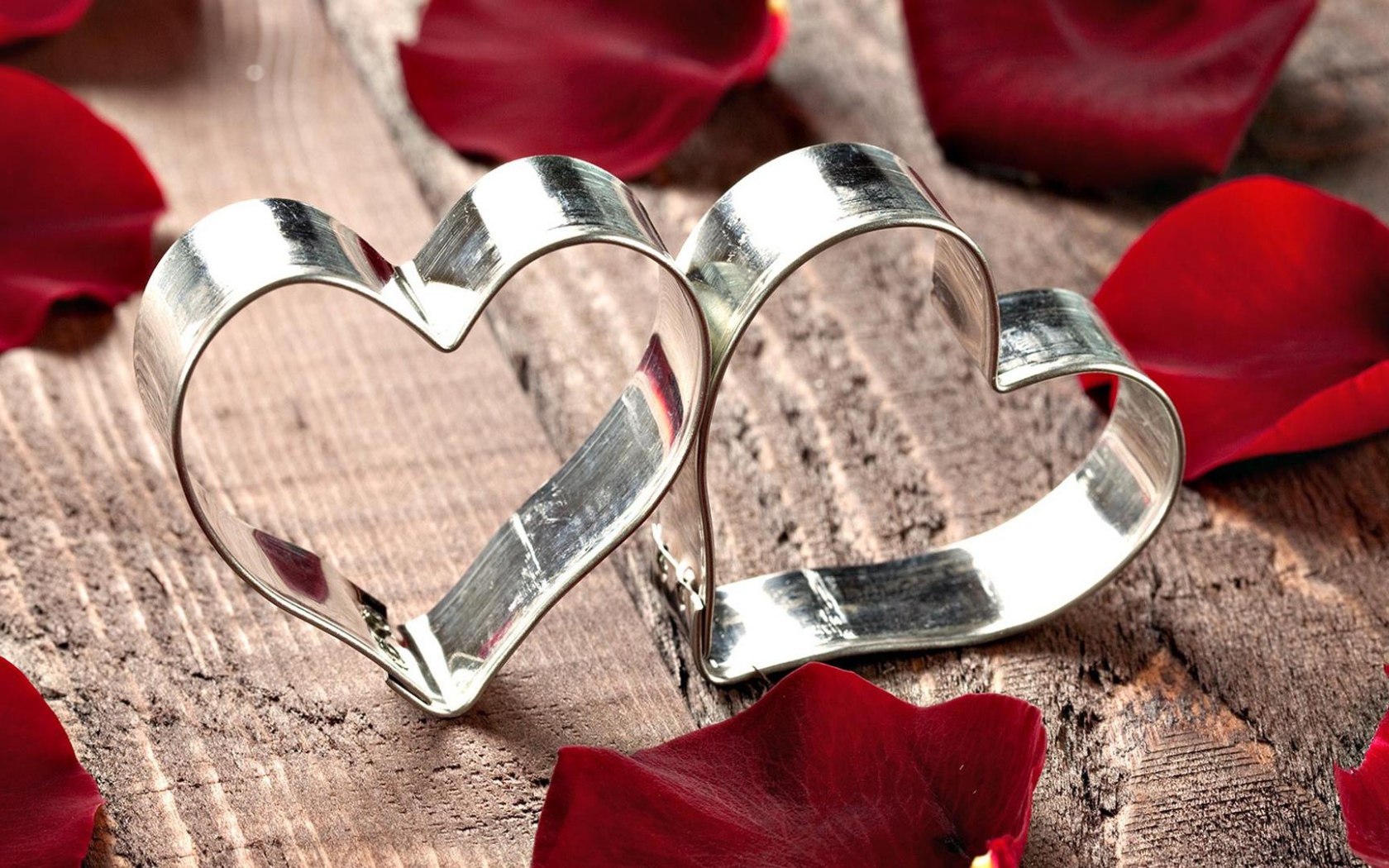 Two silver hearts in red rose petals