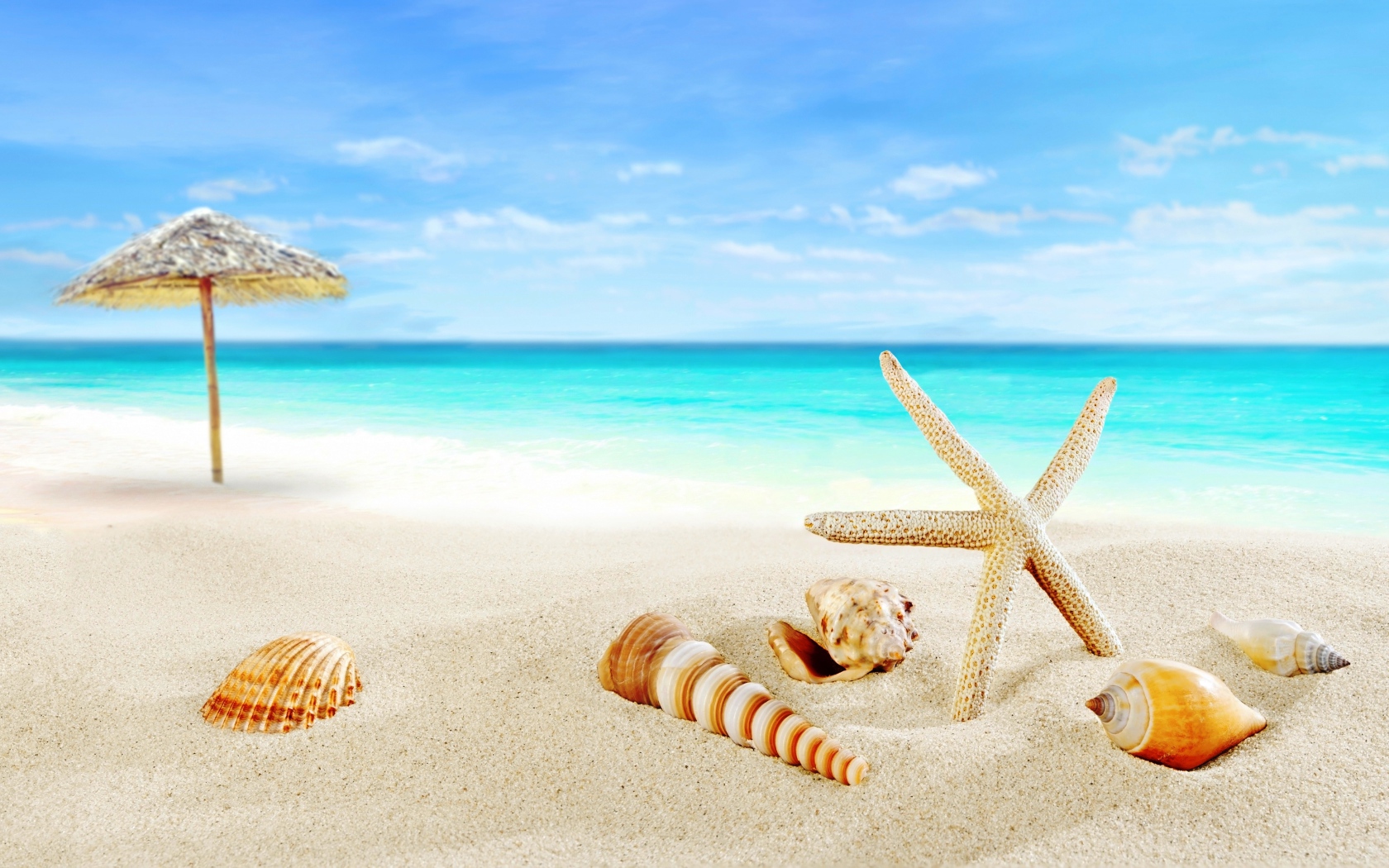 Ракушки и зонт на тропическом пляже