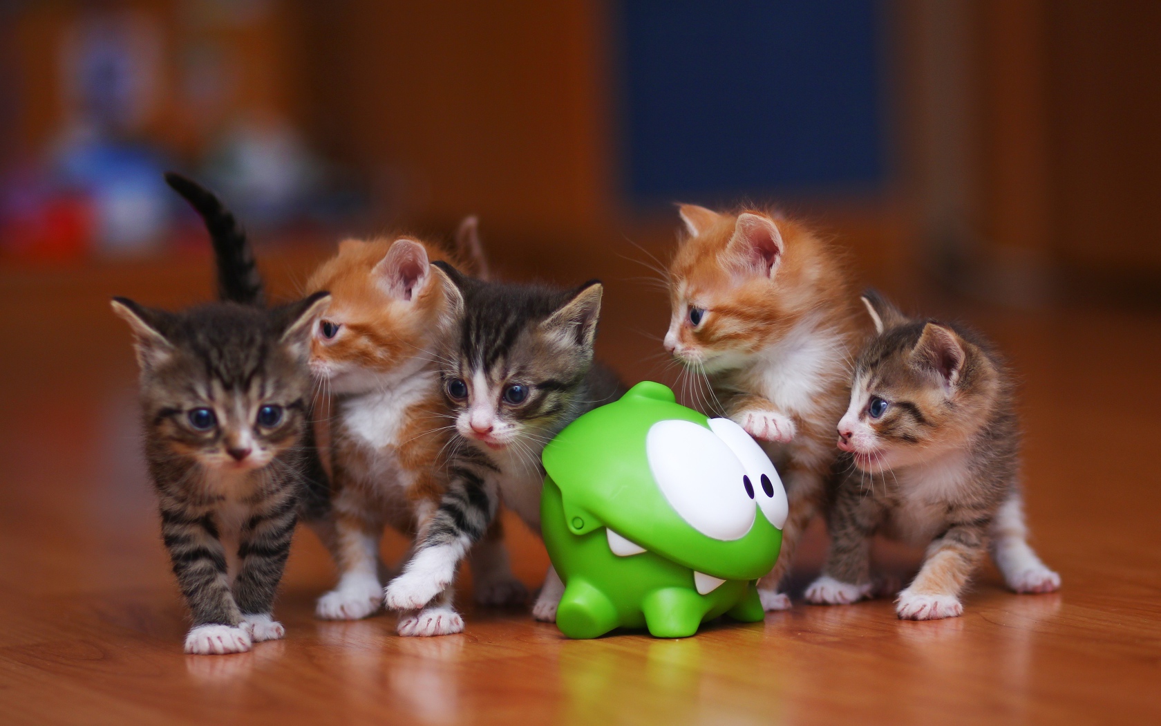 Маленькие смешные котята с зеленой игрушкой