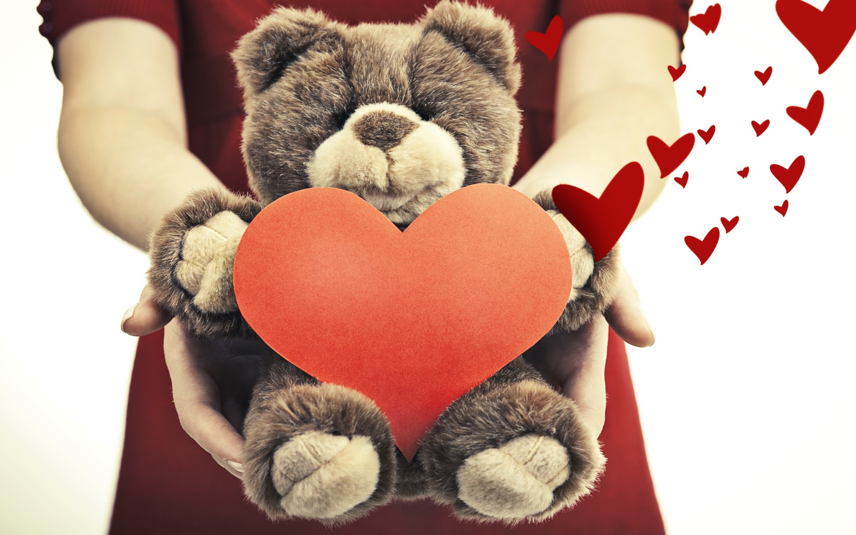 Plush bear with a big red heart in his hands
