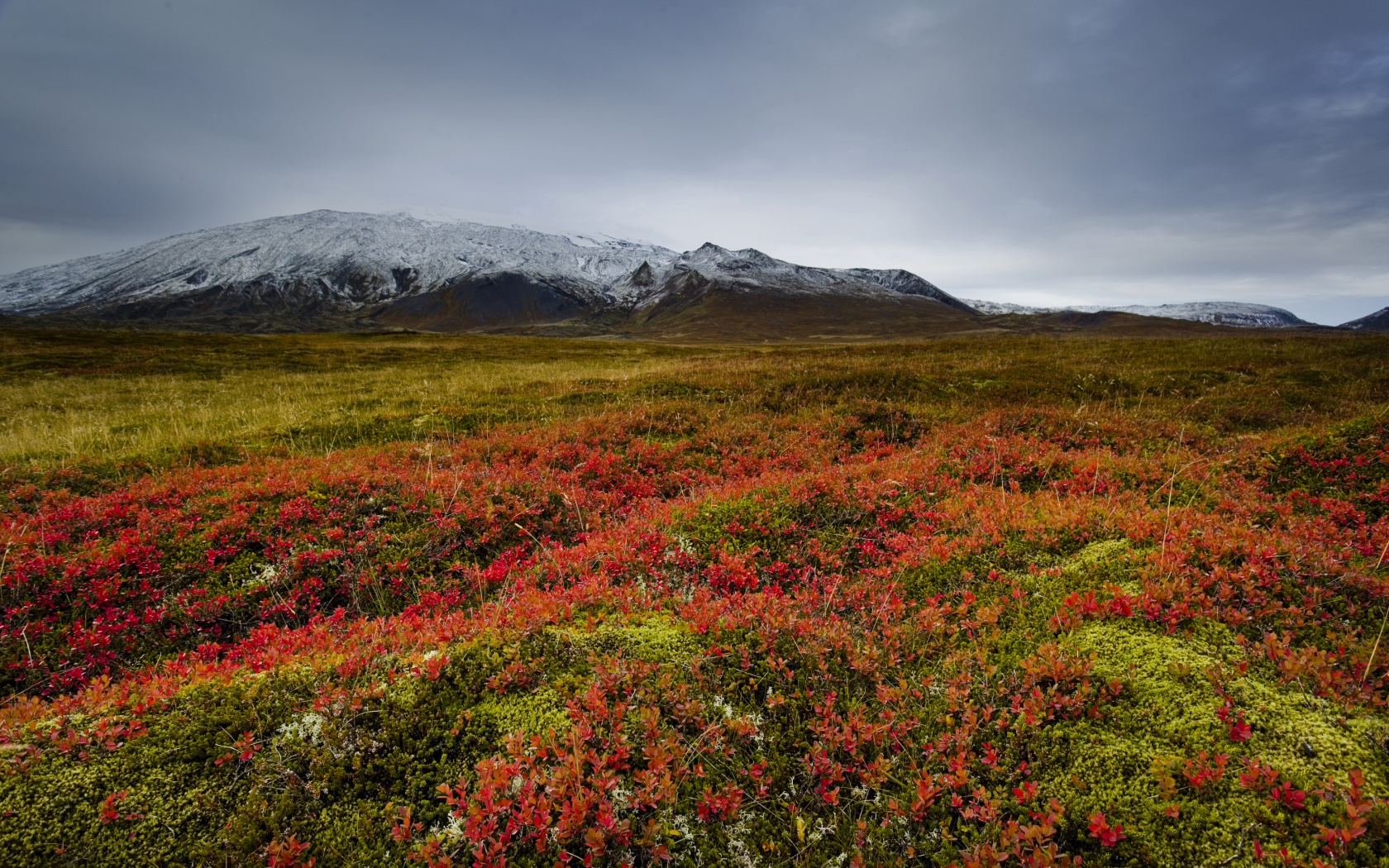 Поле на фоне заснеженной горы, Исландия